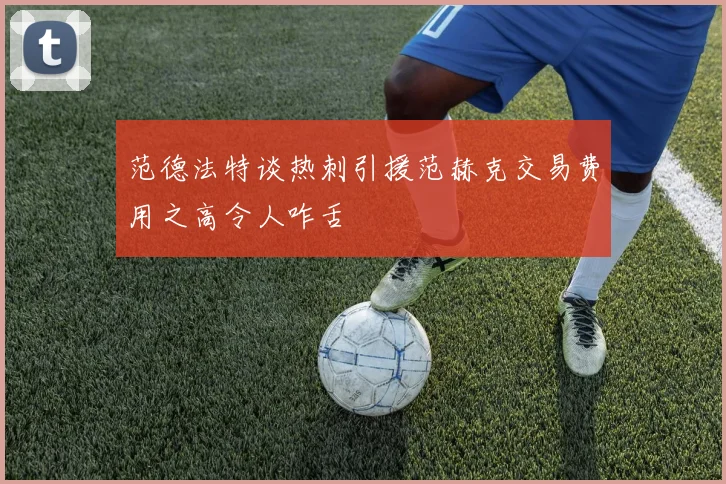 范德法特谈热刺引援范赫克交易费用之高令人咋舌
