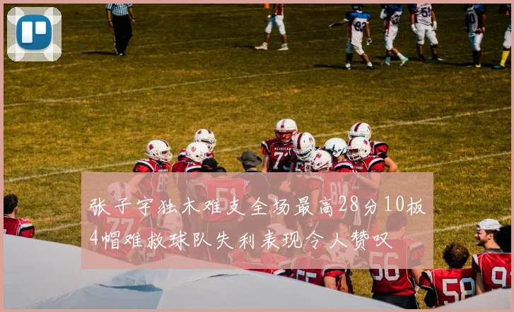 张子宇独木难支全场最高28分10板4帽难救球队失利表现令人赞叹